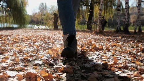 Female Legs Walking on Fallen Autumn Leaves in the Park in Slow Motion