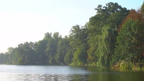 Park & Pond 4K