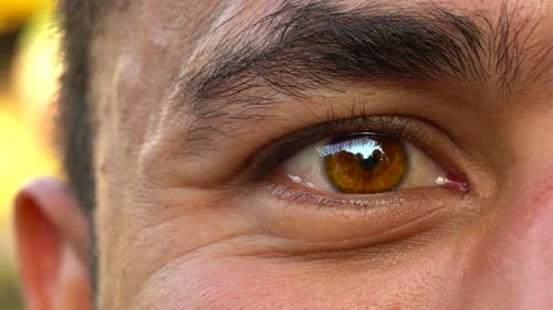 Beautiful Blinking Male Eye Closeup