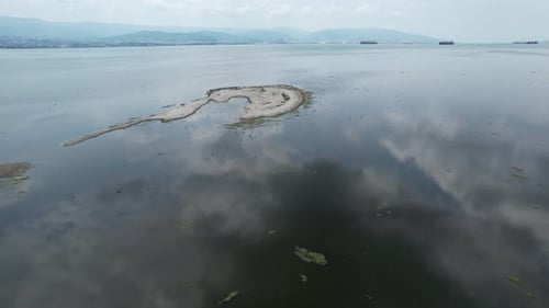 Aerial Sea and Birds