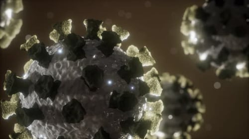 Corona Virus Covid 19 Macro Model