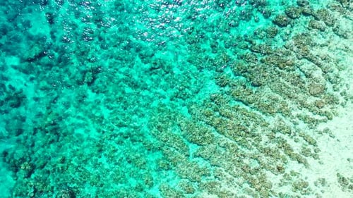 Wide drone tourism shot of a white sandy paradise beach and aqua turquoise water background in colou