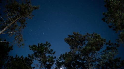 Étoile dans le ciel nocturne