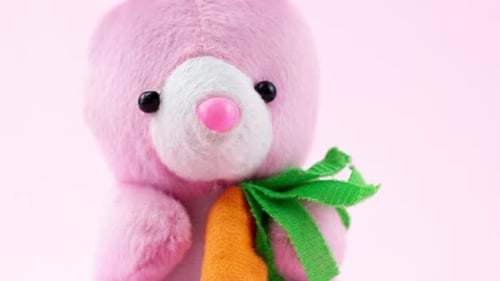 Pink Bunny Rabbit Stuffed Toy Holding Carrot