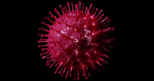 3D Rotating Virus Cell Animation with Alpha Channel