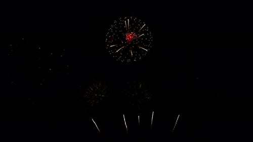 Many flashing colorful fireworks in event amazing with black background celebrate New Year.