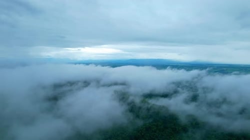 4K Aerial Drone shot flying over beautiful mountain ridge in rural jungle bush forest.