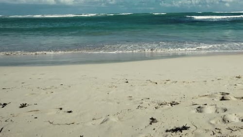 Ocean 01