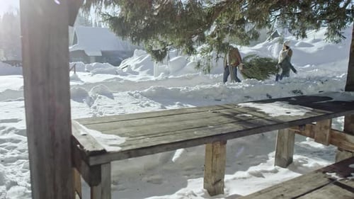 Family Carries Christmas Tree Through a Snowy Landscape