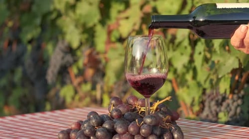 Red Wine Pouring