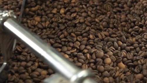 Close View of Mixing and Grinding Roasted Coffee Beans with Equipment. Slowly