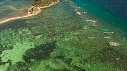 Tropical Island Sandy Beach Philippines Palawan