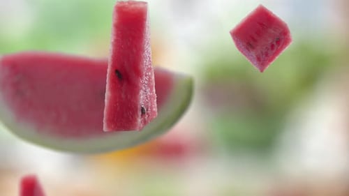 Flying of Watermelon and Slices in Garden Background