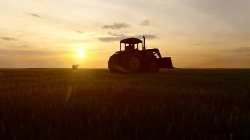 Tractor in the Field and Sunset View