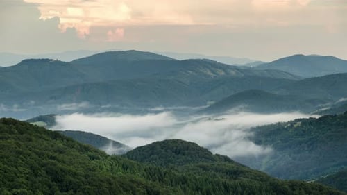 Misty Evening above Clouds Moving in Green Forest Valley