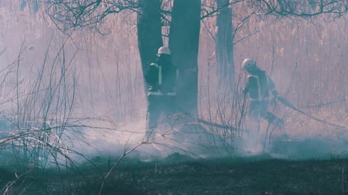 Two Firefighters in Equipment Extinguish Forest Fire with Fire Hose. Slow Motion