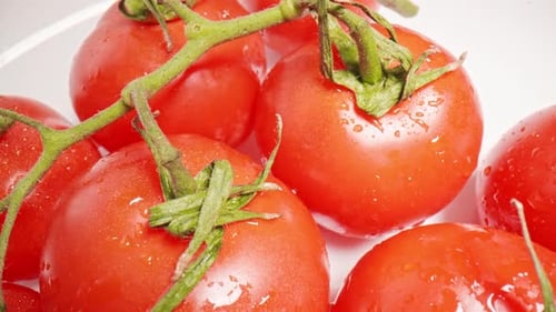 Bio-Tomaten (4K)