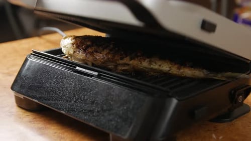 Grilled Fish Electric Grill