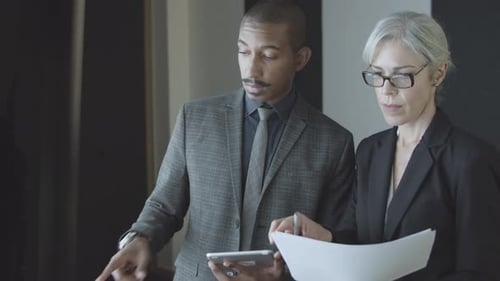 Two Business Colleagues Analyzing Documents