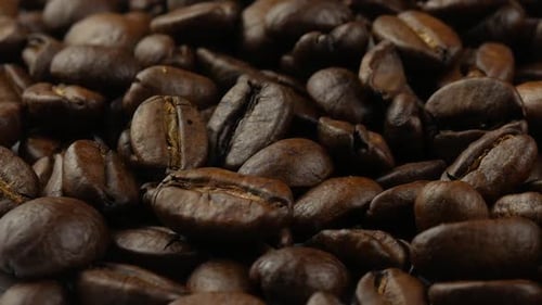 coffee beans close up