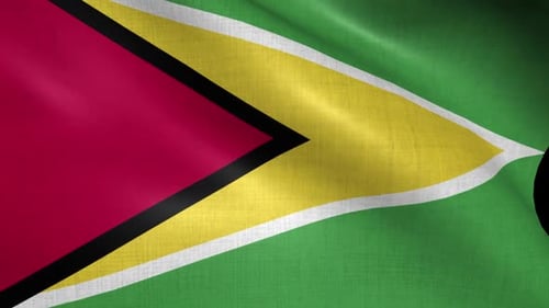 Realistic Waving Flag of Guyana with Alpha Channel
