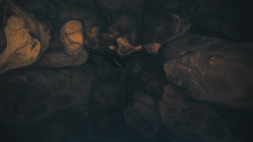 Black And Gold