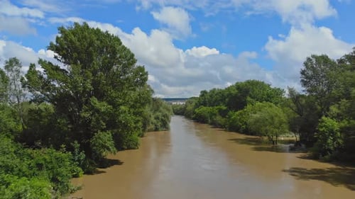 River Water Spring Came Out of the Shore and Flooded the Trees