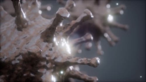 Animated 3D Textured Microscopic Virus Model