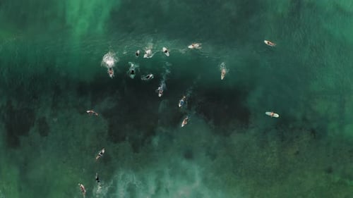 Aerial Top Down Drone View at Surfers on the Wave Bali Indonesia