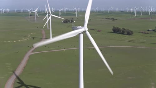 Wind Turbines Generating Clean Energy in Green Field