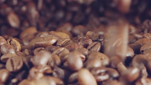 Coffee Beans Falling in Slow Motion Close Up