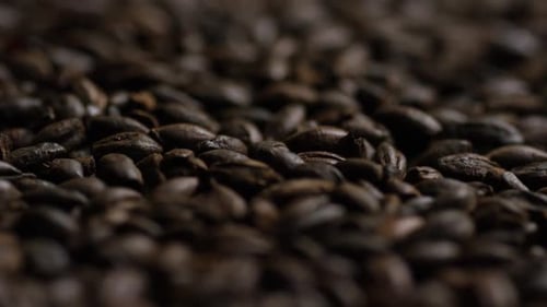 Tiro rotativo de cevada e outros ingredientes de fabricação de cerveja