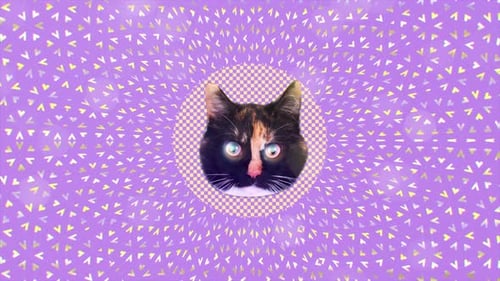 Animation par collage de visages de chats volant dans un design de mouvement minimal
