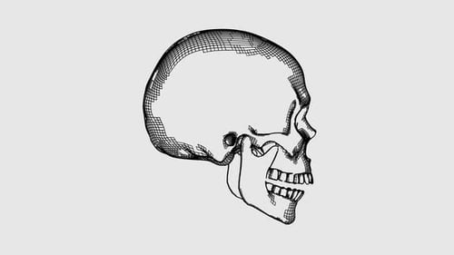 Sketch Style Human Skull Schwarz-Weiß-Loop-Animation