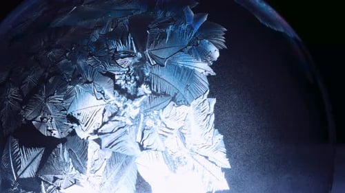 Delicate Ice Crystals Forming on a Curved Surface