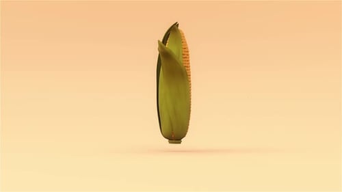 3D Animated Corn Cob Rotating Loop
