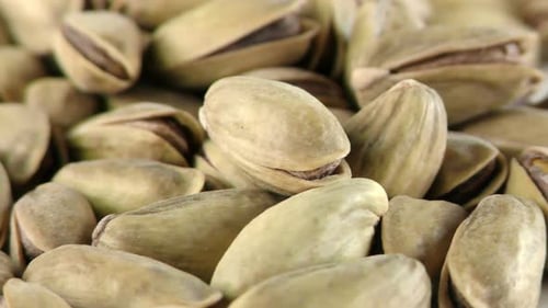 The Pistachio Macro View 4