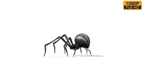 Spider Walk