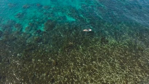 Surfistas en la superficie del agua