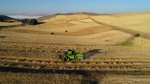 Wheat Field Harvest