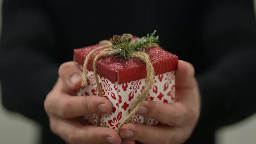 Hands Holding a Small Holiday Gift