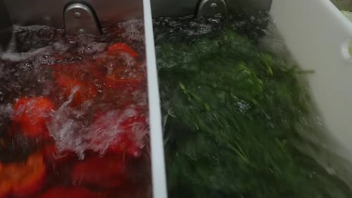 Food Industry. Food Factory. Vegetables Are Washed Before Processing.