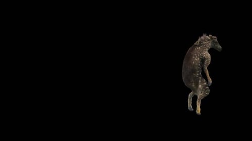 Spotted Deer Fawn Standing on Hind Legs Animation