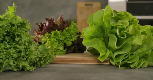Fresh Lettuce on a Kitchen Counter