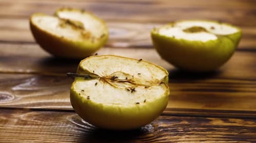 Frischer reifer gelber Apfel Zerfallsprozess, Trocknen, Zeitrafferschuss, Ökologie Zerfall von Produkten, verwöhnt