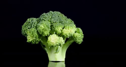 Rotating Head of Fresh Green Broccoli