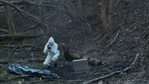 Forensic specialists working in the forest. Crime scene and police concept.