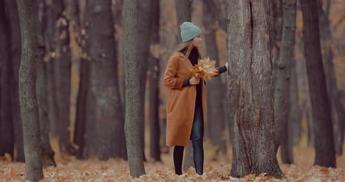 Beautiful Girl in Autumn Park with a Bouquet of Autumn Leaves in the Hands