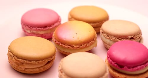 Colorful Macarons Displayed on a Pink Plate