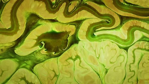 Abstract Colorful Food Paint Diffusion Spread 025